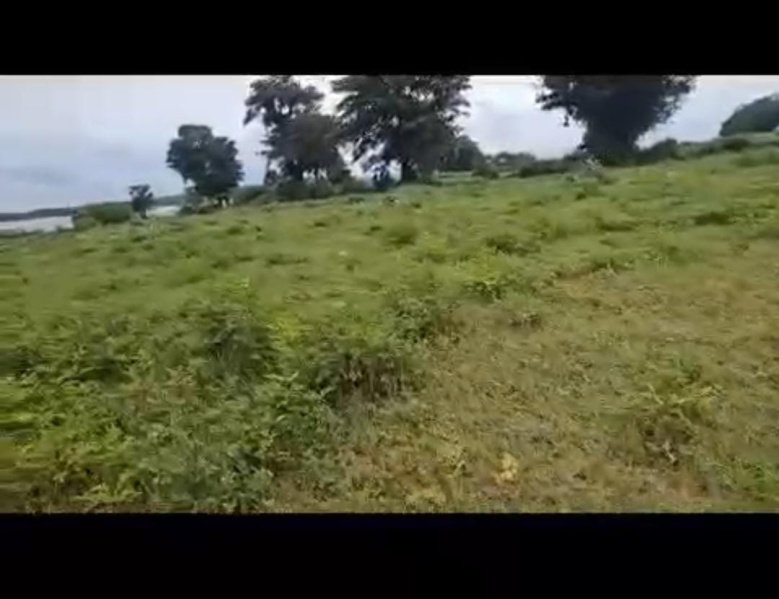  Agricultural Land 6 Acre for Sale in Hebbalu, Hassan