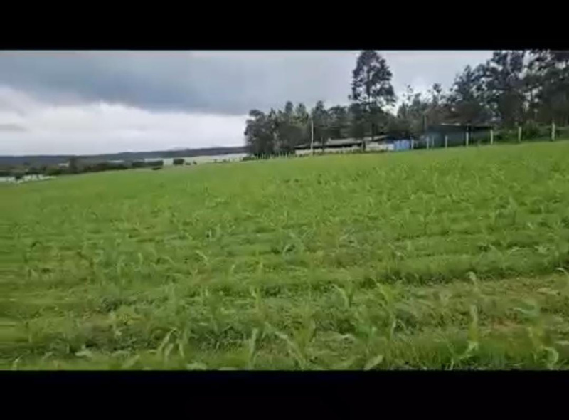  Agricultural Land 4 Acre for Sale in Hebbalu, Hassan