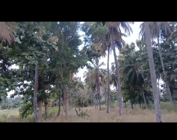  Agricultural Land for Sale in Kanakapura, Bangalore