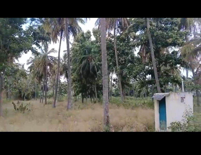  Agricultural Land 3 Acre for Sale in Kanakapura, Bangalore