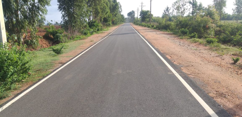  Agricultural Land 90 Acre for Sale in Vemagal, Kolar