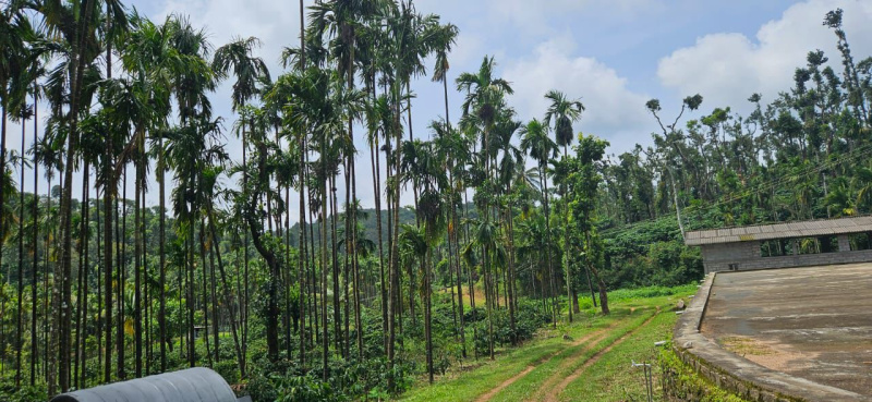  Agricultural Land 73 Acre for Sale in Sakleshpur, Hassan
