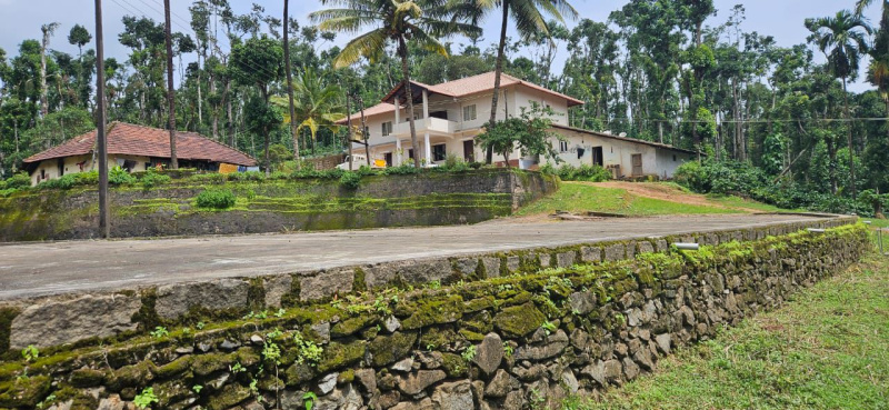  Agricultural Land 73 Acre for Sale in Sakleshpur, Hassan
