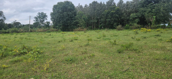  Agricultural Land for Sale in Alur, Hassan