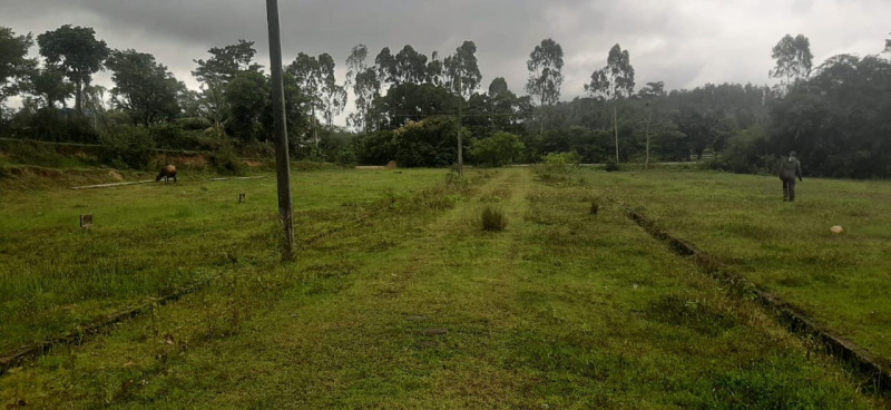  Agricultural Land 10 Guntha for Sale in Joythinagar, Chikmagalur