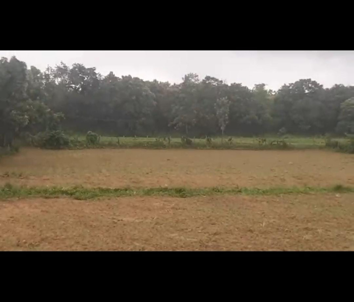  Agricultural Land 6 Guntha for Sale in Birur, Chikmagalur