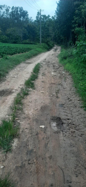  Agricultural Land 2 Acre for Sale in Mallandur Road, Chikmagalur