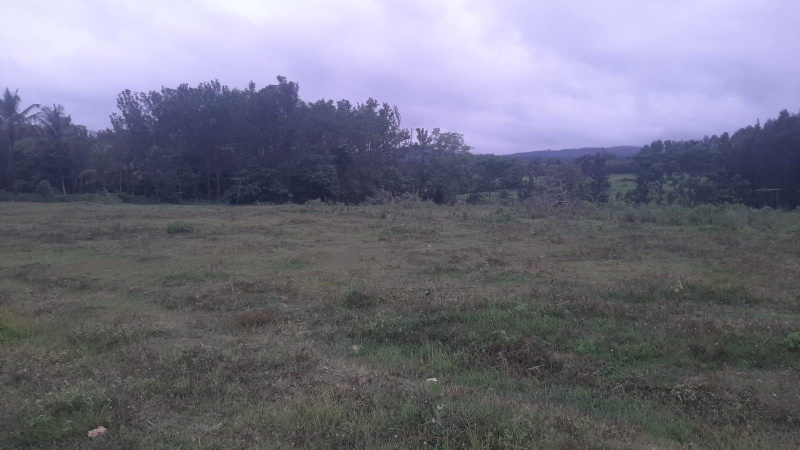  Agricultural Land 2 Acre for Sale in Mallandur Road, Chikmagalur