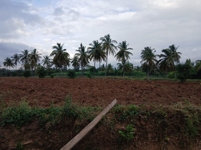  Agricultural Land 20 Acre for Sale in Kanakapura, Bangalore