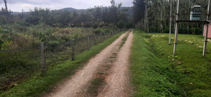  Agricultural Land 72 Guntha for Sale in Hiremagalur, Chikmagalur
