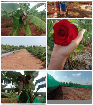  Agricultural Land for Sale in Mahadevapura Road, Mysore