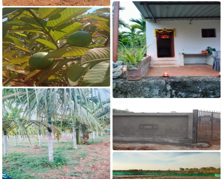  Agricultural Land 6 Acre for Sale in Mahadevapura Road, Mysore