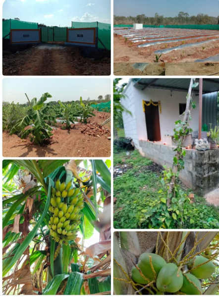  Agricultural Land 6 Acre for Sale in Mahadevapura Road, Mysore