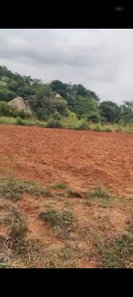  Agricultural Land 44 Guntha for Sale in Kanakapura, Bangalore