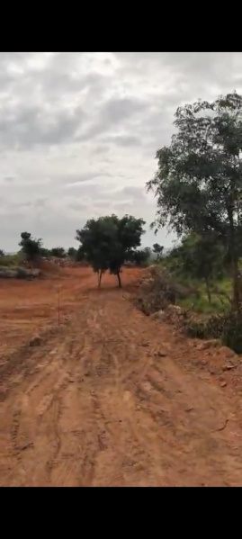  Agricultural Land 44 Guntha for Sale in Kanakapura, Bangalore