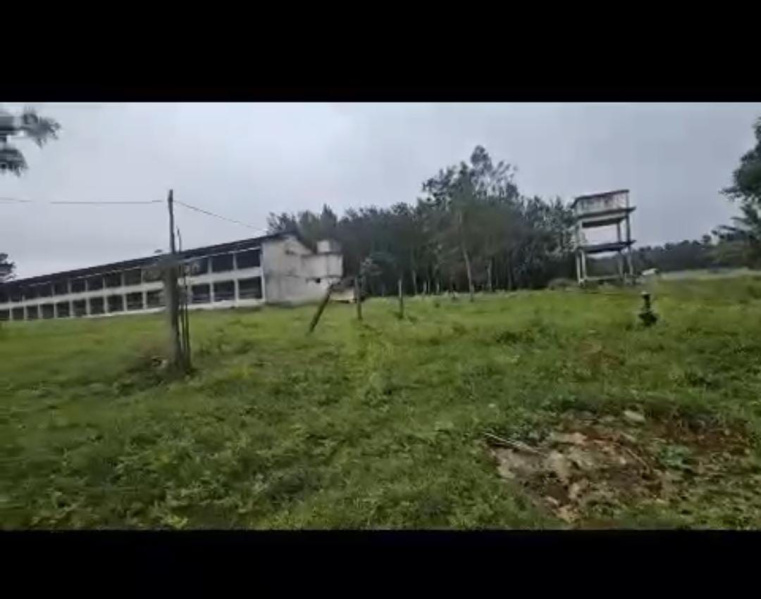  Agricultural Land 7 Acre for Sale in Palya, Hassan