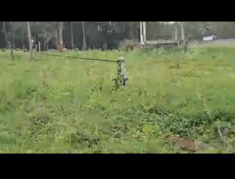  Agricultural Land 7 Acre for Sale in Palya, Hassan