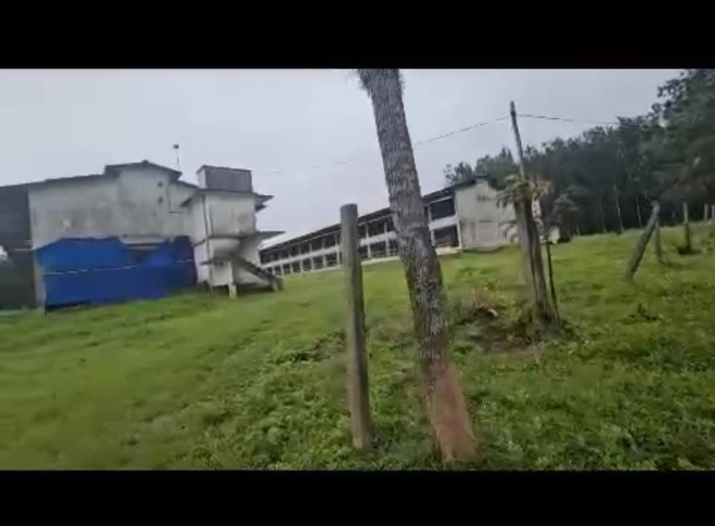  Agricultural Land 7 Acre for Sale in Palya, Hassan