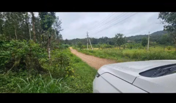  Agricultural Land for Sale in Palya, Hassan