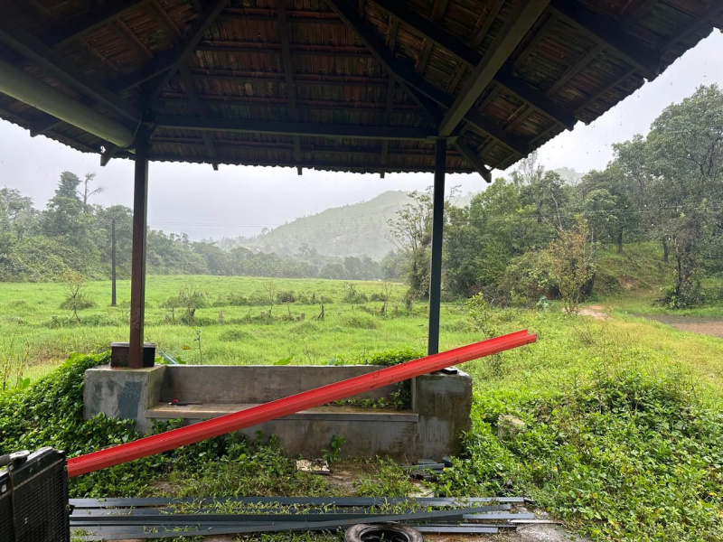  Agricultural Land 6 Acre for Sale in Mudigere, Chikmagalur