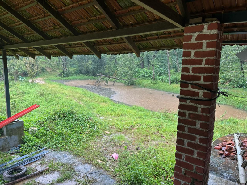  Agricultural Land 6 Acre for Sale in Mudigere, Chikmagalur