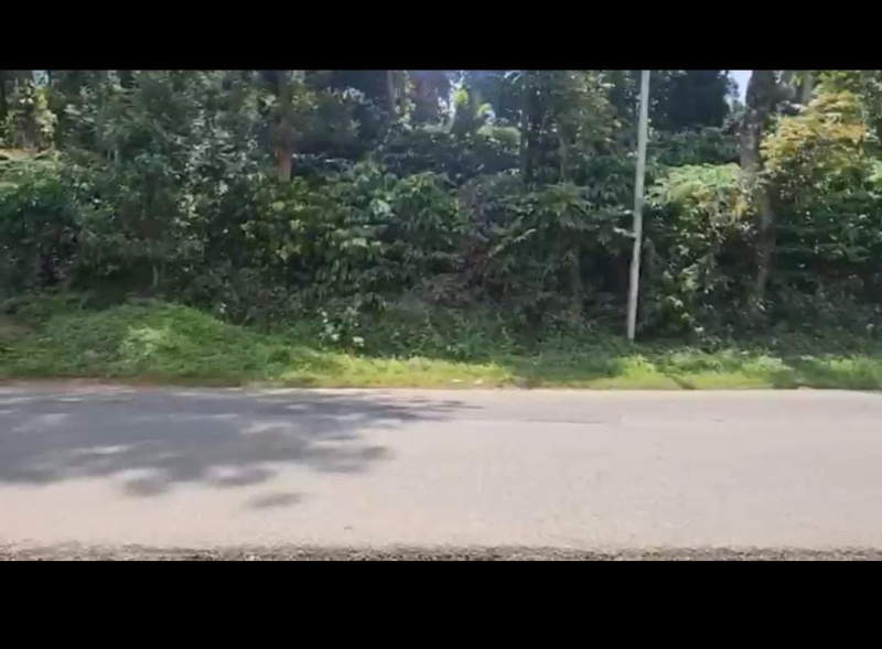  Agricultural Land 6 Acre for Sale in Virajpet, Kodagu