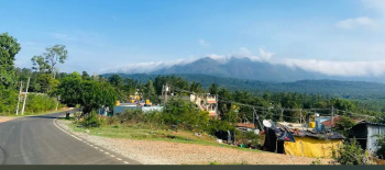  Agricultural Land for Sale in Uppalli, Chikmagalur