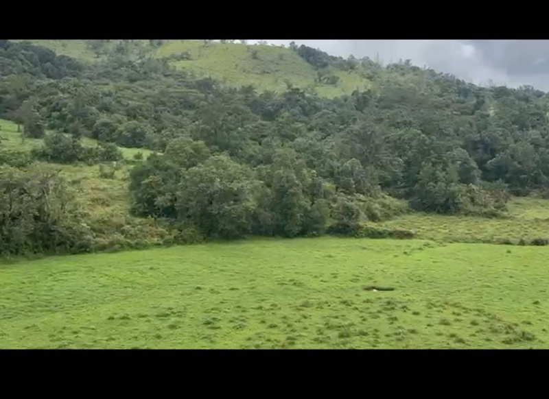  Agricultural Land 4 Acre for Sale in Mudigere, Chikmagalur