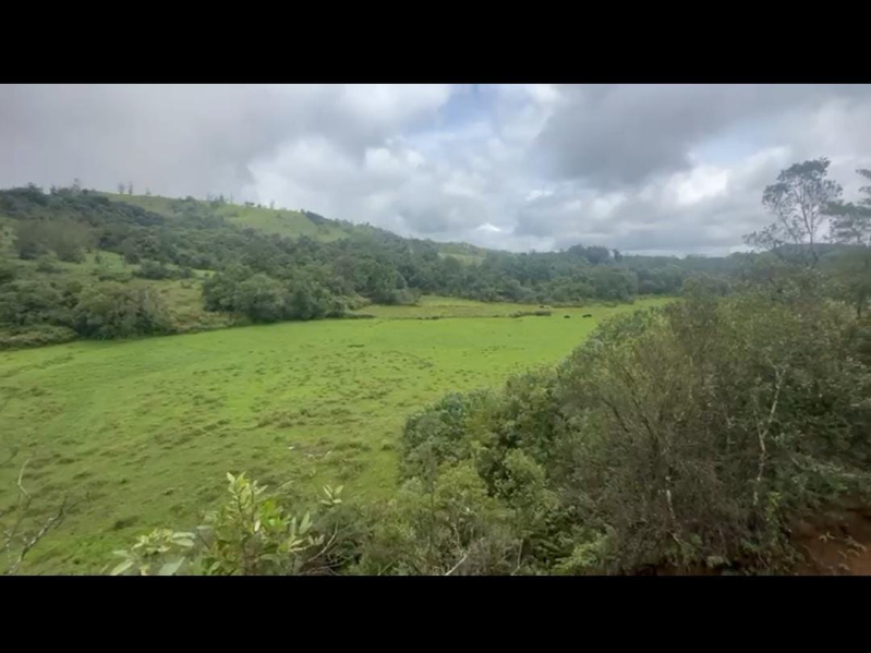  Agricultural Land 4 Acre for Sale in Mudigere, Chikmagalur