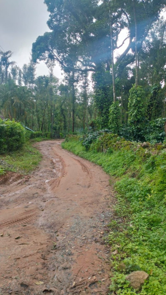 Agricultural Land 14 Acre for Sale in Joythinagar, Chikmagalur
