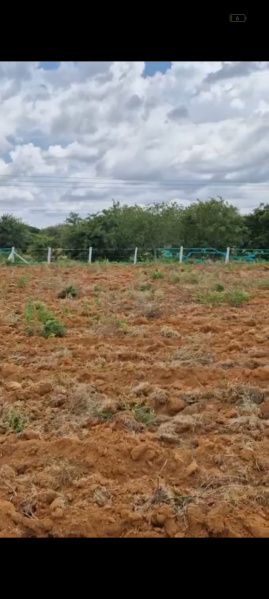  Agricultural Land 1 Guntha for Sale in Athani Road, Vijayapura