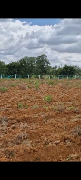  Agricultural Land 1 Guntha for Sale in Athani Road, Vijayapura