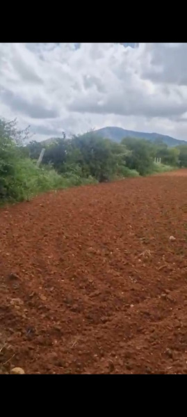  Agricultural Land 55 Guntha for Sale in Doddaballapur, Bangalore