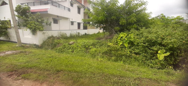  Commercial Land 6800 Sq.ft. for Sale in Mallandur Road, Chikmagalur