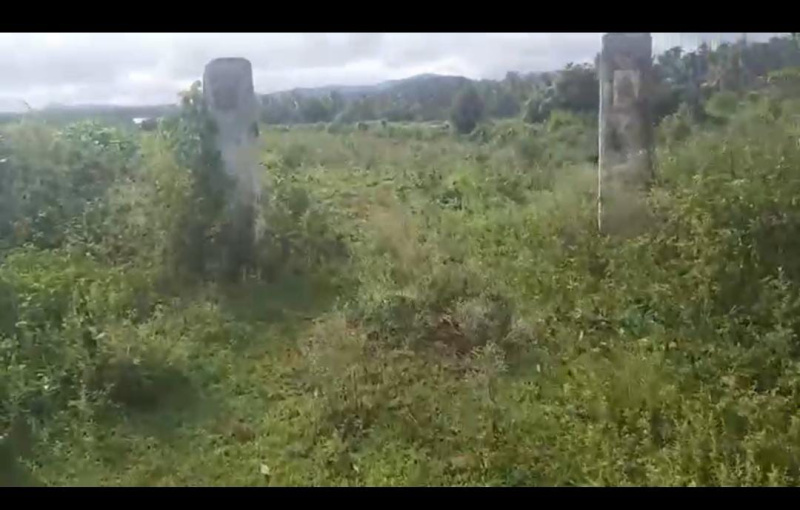  Agricultural Land 2 Acre for Sale in Kadur, Chikmagalur