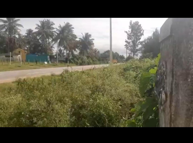  Agricultural Land 2 Acre for Sale in Kadur, Chikmagalur