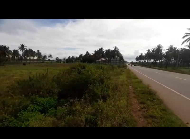  Agricultural Land 3 Acre for Sale in Kadur, Chikmagalur