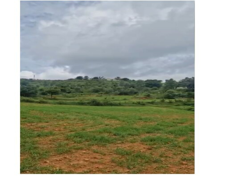  Agricultural Land 2 Guntha for Sale in Majestic, Bangalore