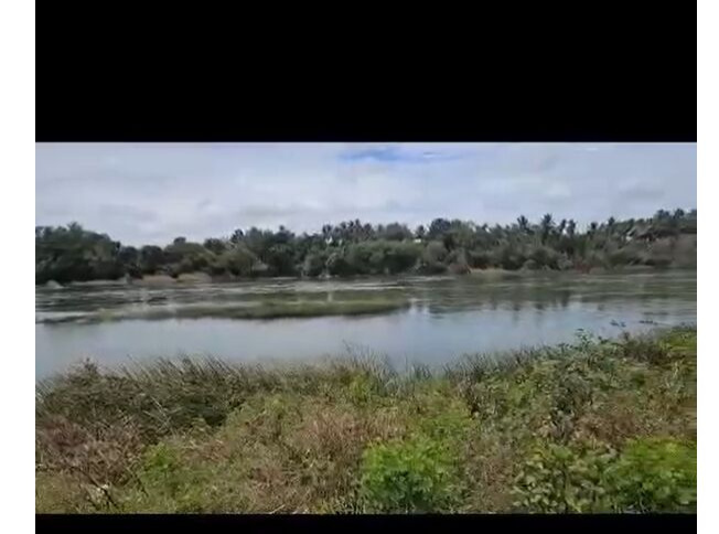  3 Acre Agricultural/Farm Land for Sale in Alur, Hassan