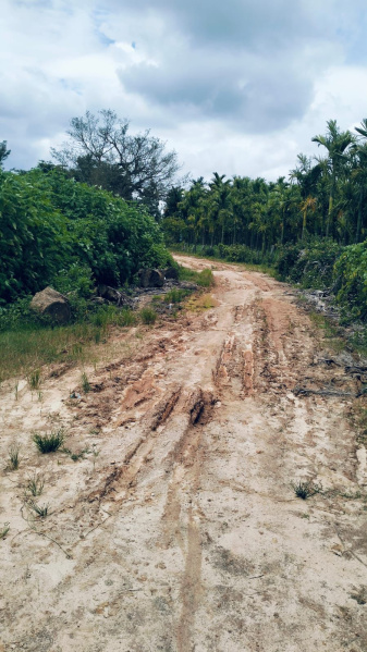  Agricultural Land 77 Guntha for Sale in Nallur, Chikmagalur