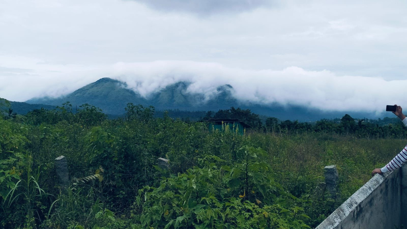  Agricultural Land 77 Guntha for Sale in Nallur, Chikmagalur