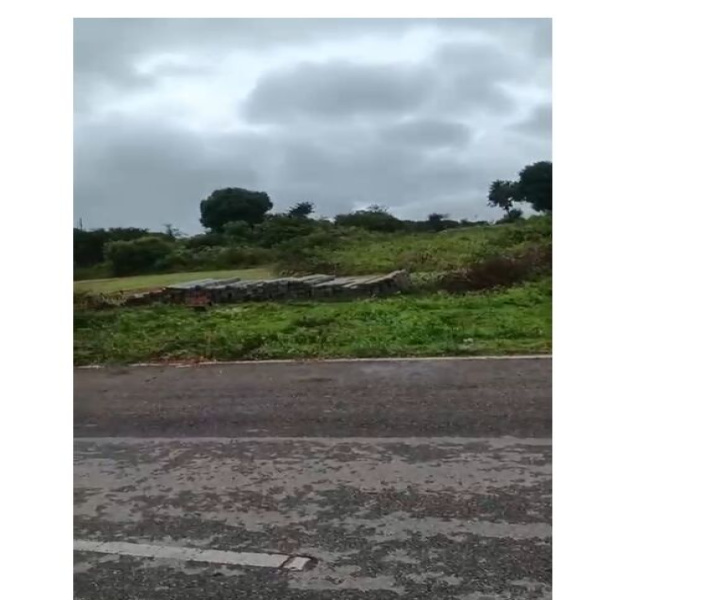  Agricultural Land 11 Acre for Rent in Mysore Banglore Highway