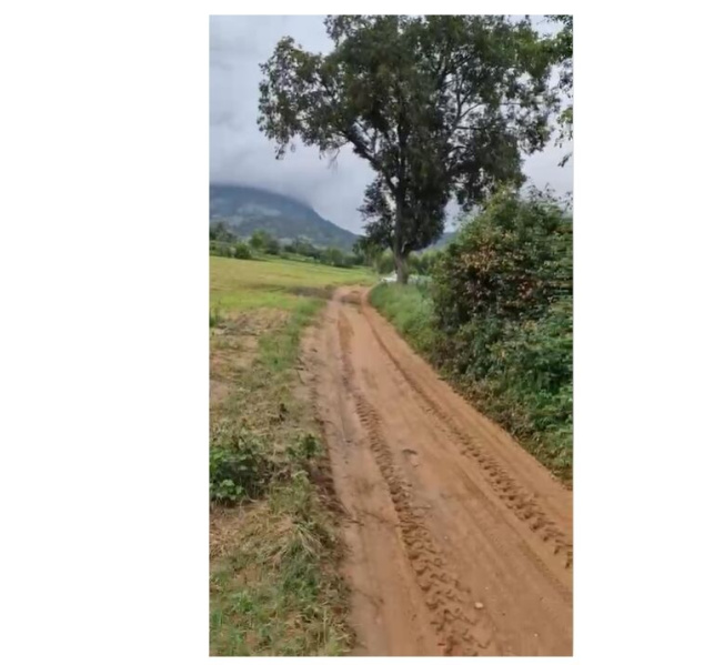  8 Guntha Agricultural/Farm Land for Sale in Nandi Hills, Bangalore