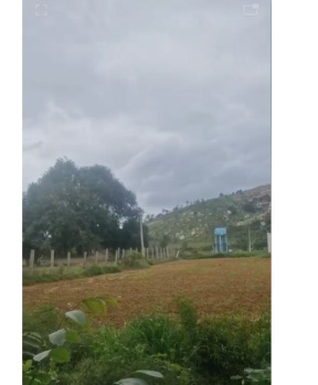  Agricultural Land for Sale in Nandi Hills, Bangalore