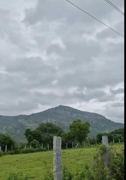  Residential Plot 11 Guntha for Sale in Doddaballapur, Bangalore
