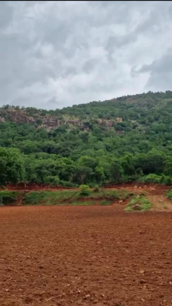  Agricultural Land 1 Acre for Sale in Doddaballapur, Bangalore