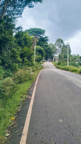  Agricultural Land 2 Ares for Sale in Nallur, Chikmagalur