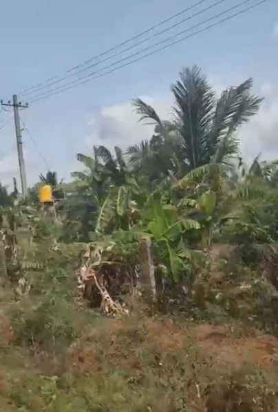  Agricultural Land 6 Acre for Sale in Hanuma Reddy Layout, Bangalore