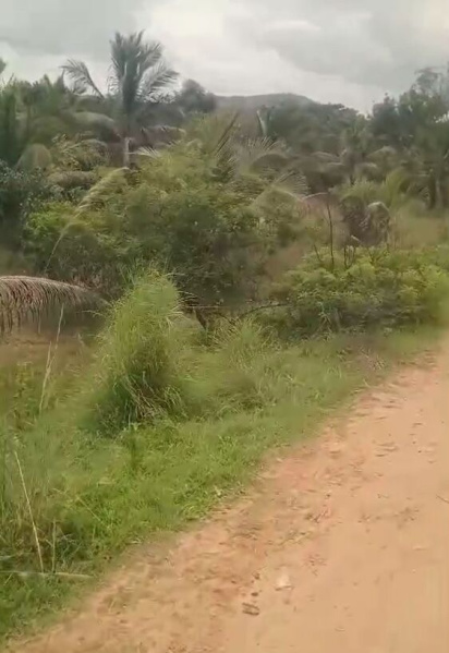  Residential Plot 8 Acre for Rent in Channapatna, Hassan
