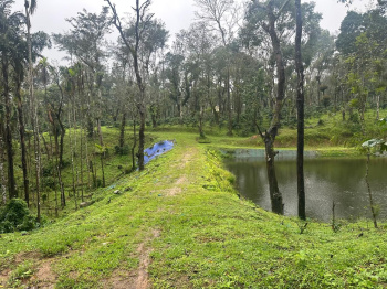  Agricultural Land for Sale in Sakleshpur, Chikmagalur